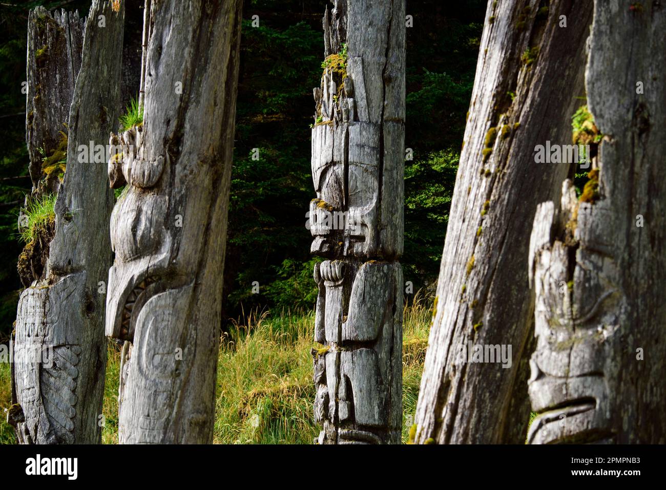 Pali totem a SGang Gwaay Llanagaay, Ninstints in inglese, un sito abbandonato del villaggio Haida sull'isola Anthony Foto Stock