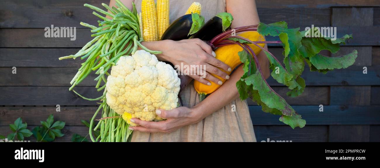 Concetto eco-friendly con verdure agricole biologiche nelle mani di una ragazza in un abito di lino in tessuto naturale. Cavolfiore crudo fresco, fagiolini, zucca Foto Stock