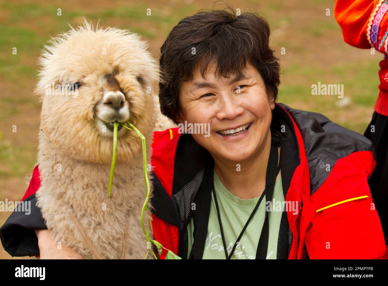 Turista cinese-americano con un lama (Lama glama) a Machu Picchu; Machu Picchu, Perù Foto Stock Turista cinese-americano con un lama (Lama glama) a Machu Picchu; Machu Picchu, Perù Foto Stock