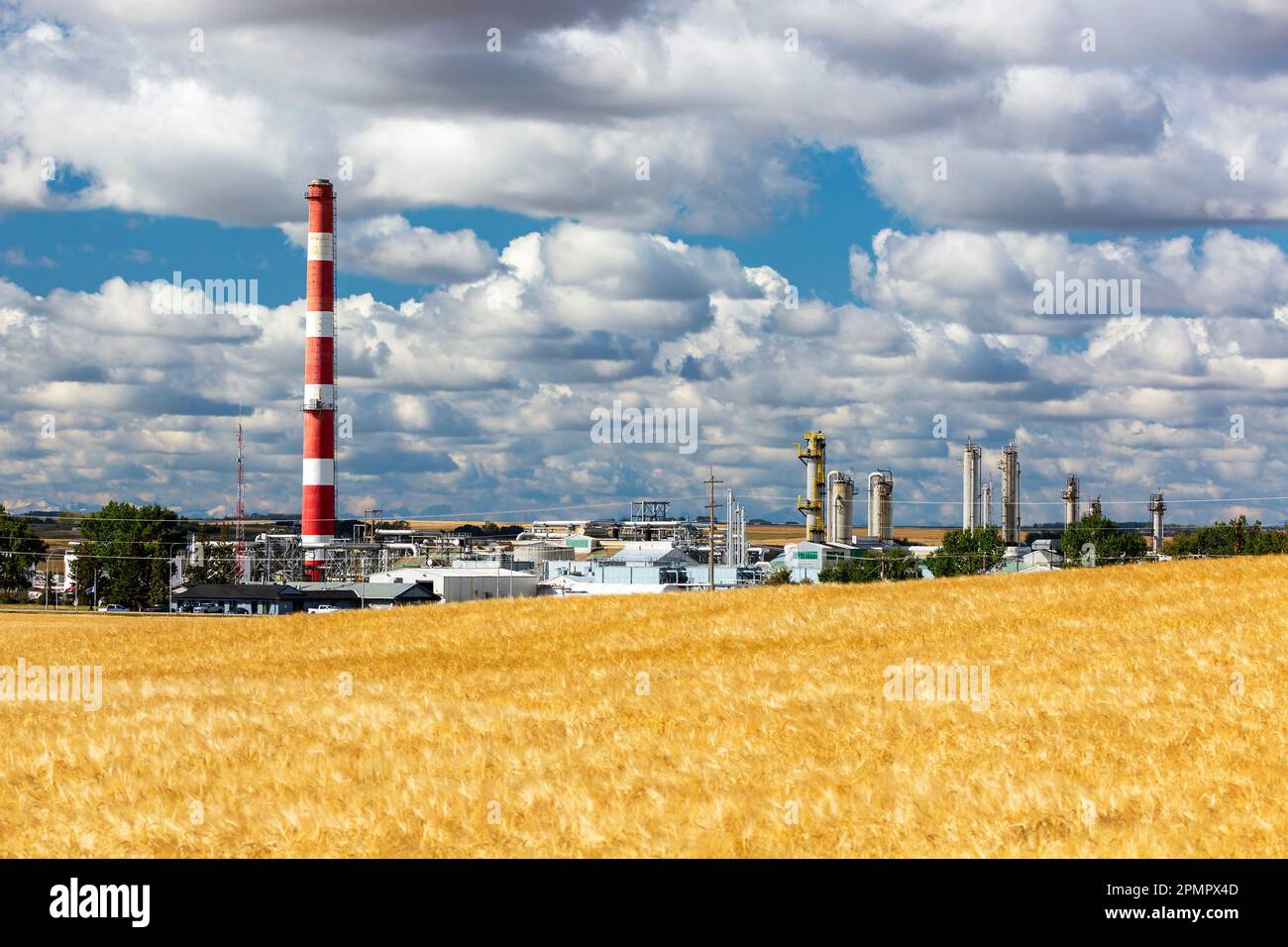 Impianto a gas con torre a righe rosse e bianche con nuvole e cielo blu e un raccolto di grano dorato in primo piano, a sud di Crossfield, Alberta Foto Stock