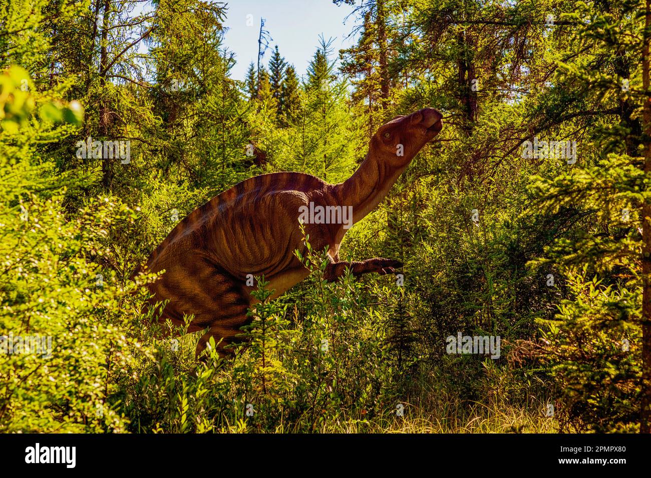 Un Iguandodon a Jurrasic Forest, un'attrazione turistica con dinosauri animatronici, appena fuori Gibbons; Alberta, Canada Foto Stock