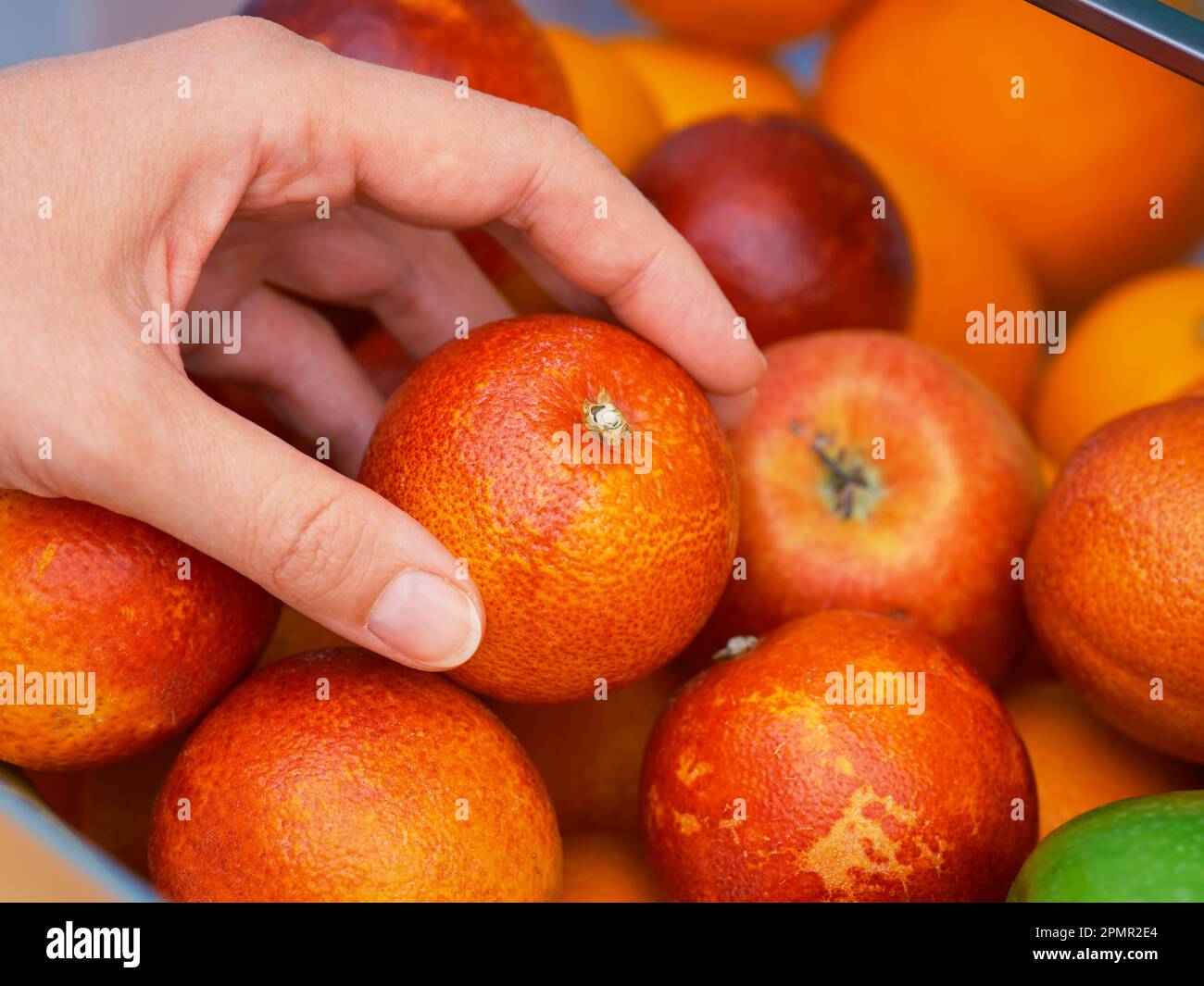 Una donna che ottiene un cara cara arancio da un vano frigo. Primo piano. Foto Stock