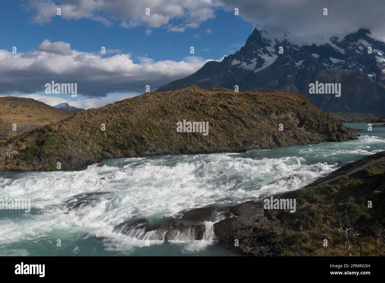 Stream, Parco Nazionale di Torres del Paine Patagonia cilena, Cile Foto Stock
