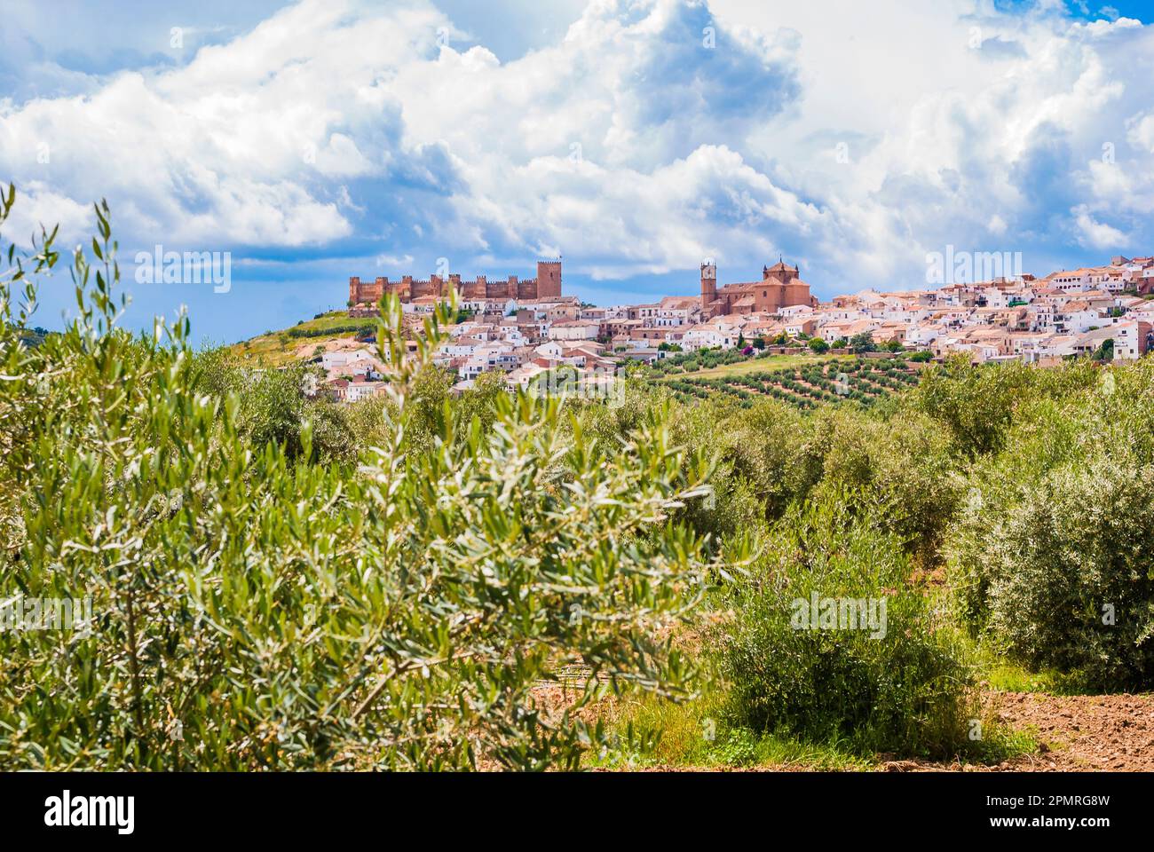 Vista panoramica sulla città di Baños de la Encina tra uliveti. Baños de la Encina, Jaén, Andalucía, Spagna, Europa Foto Stock