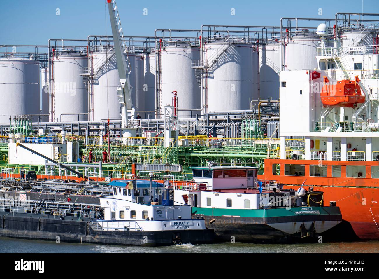 Il porto di Anversa, sulla Scheldt, è considerato il secondo porto marittimo più grande d'Europa, petroliere, chiatte e navi marittime presso il molo dell'azienda petroliiera, F. Foto Stock