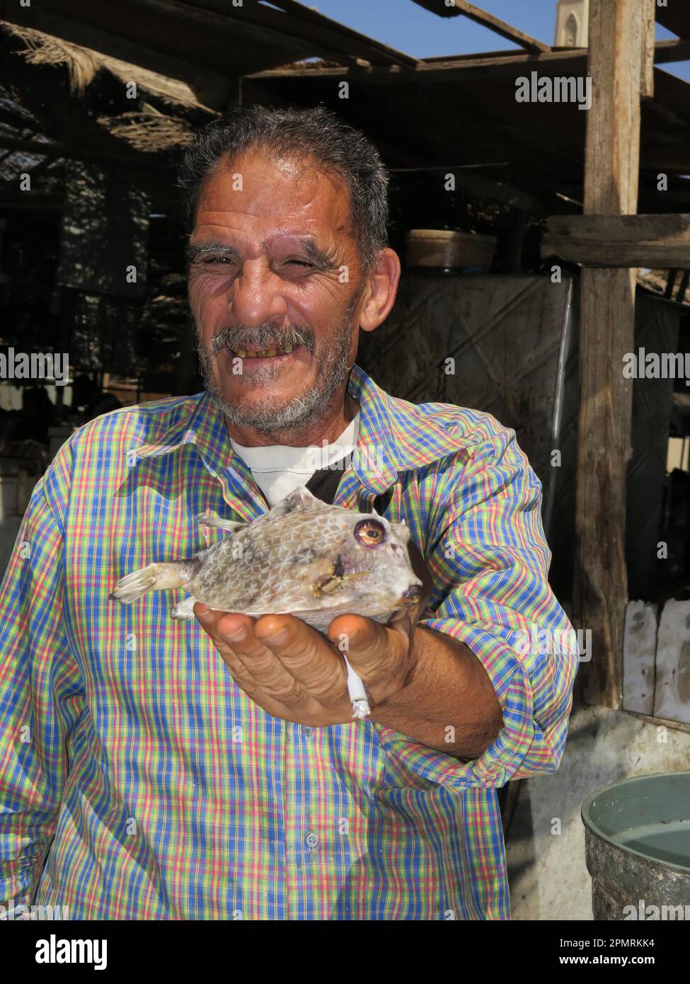 Uomo, pesce secco, mercato del pesce, Hurghada, Egitto Foto Stock