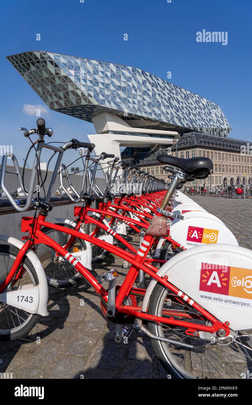 Stazione di noleggio, drop zone per noleggio biciclette, fornitore velo Antwerp, posto per parcheggiare biciclette per il noleggio temporaneo, a Havenhuis, Anversa, Fiandre, Belgio, Foto Stock