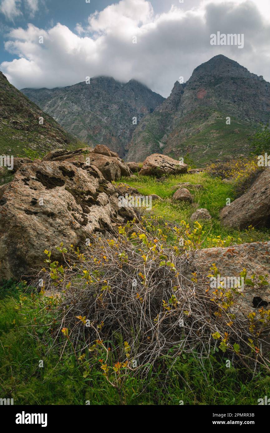 Una vista del paesaggio bello con alberi, montagne e nuvole; Badakhshan, Afghanistan Foto Stock