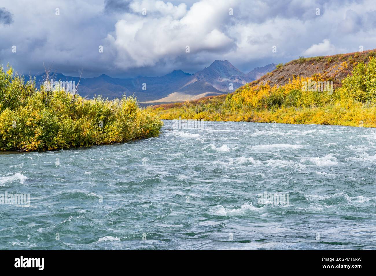 Insenatura autunnale attraverso la tundra lungo Denali Highway in Alaska Foto Stock