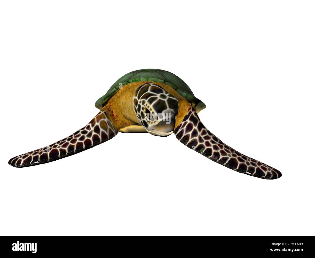 3D illustrazione di una grande tartaruga marina isolata Foto Stock