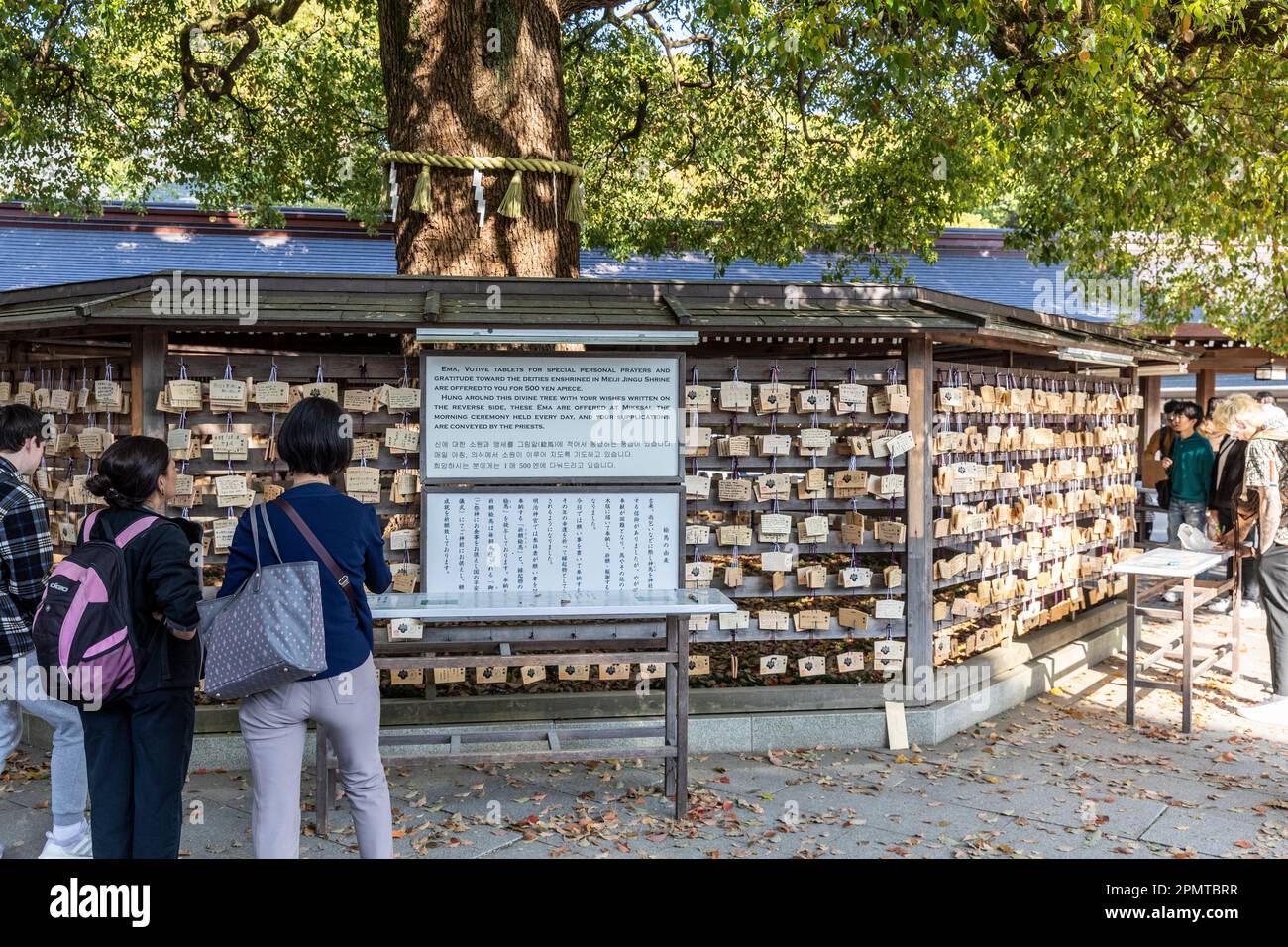 Aprile 2023 Tokyo Meiji Jingu santuario per l'imperatore Meiji e Ema votive tavolette di legno per i fedeli a scrivere le loro preghiere, Giappone Foto Stock