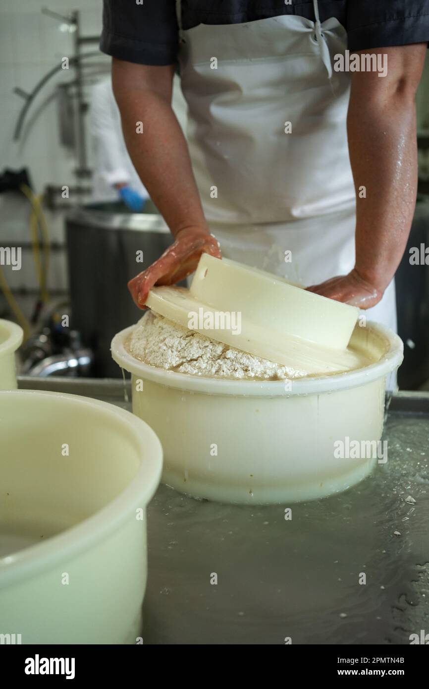 Primo piano di un caseificio uomo che forma il formaggio negli stampi di plastica alla produzione di latte Foto Stock