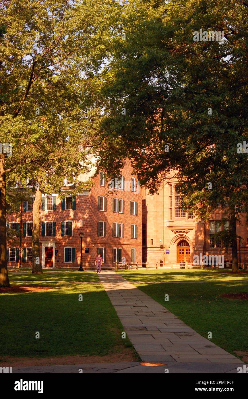 Un sentiero conduce attraverso il campus della Yale University a New Haven, Connecticut, verso la storica Connecticut House, sul verde Foto Stock