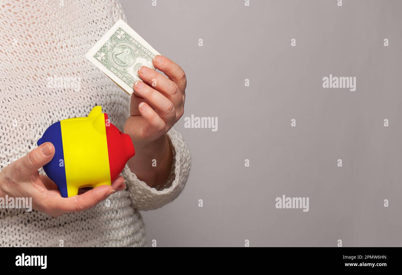 Bandiera della Romania su banca di denaro in mani rumene donna. Dotations, fondo pensione, povertà, ricchezza, concetto di pensione Foto Stock