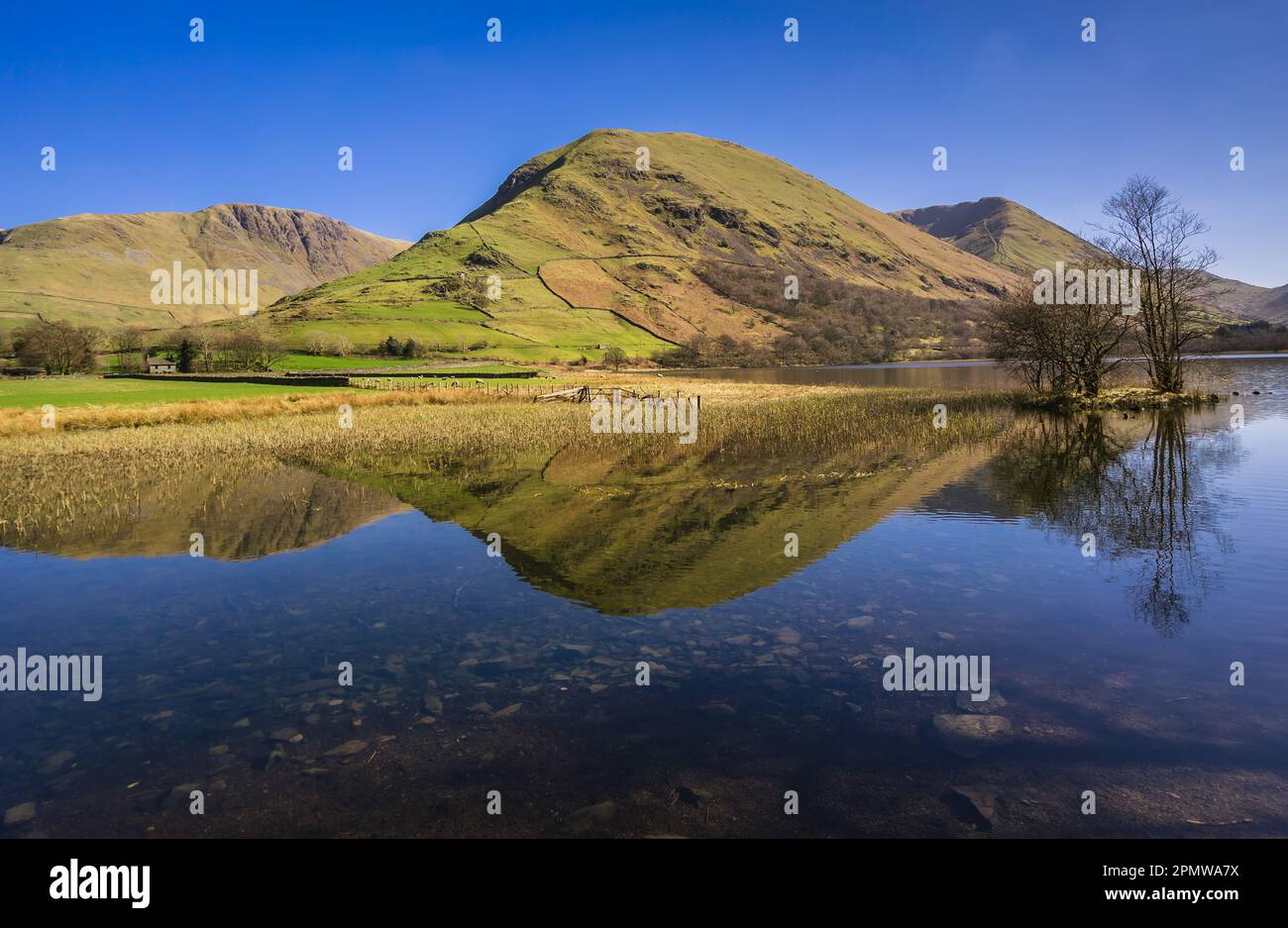 Guardando attraverso l'acqua Brothers nel Lake District verso Hartsop Dodd che si riflette nel lago. Foto Stock
