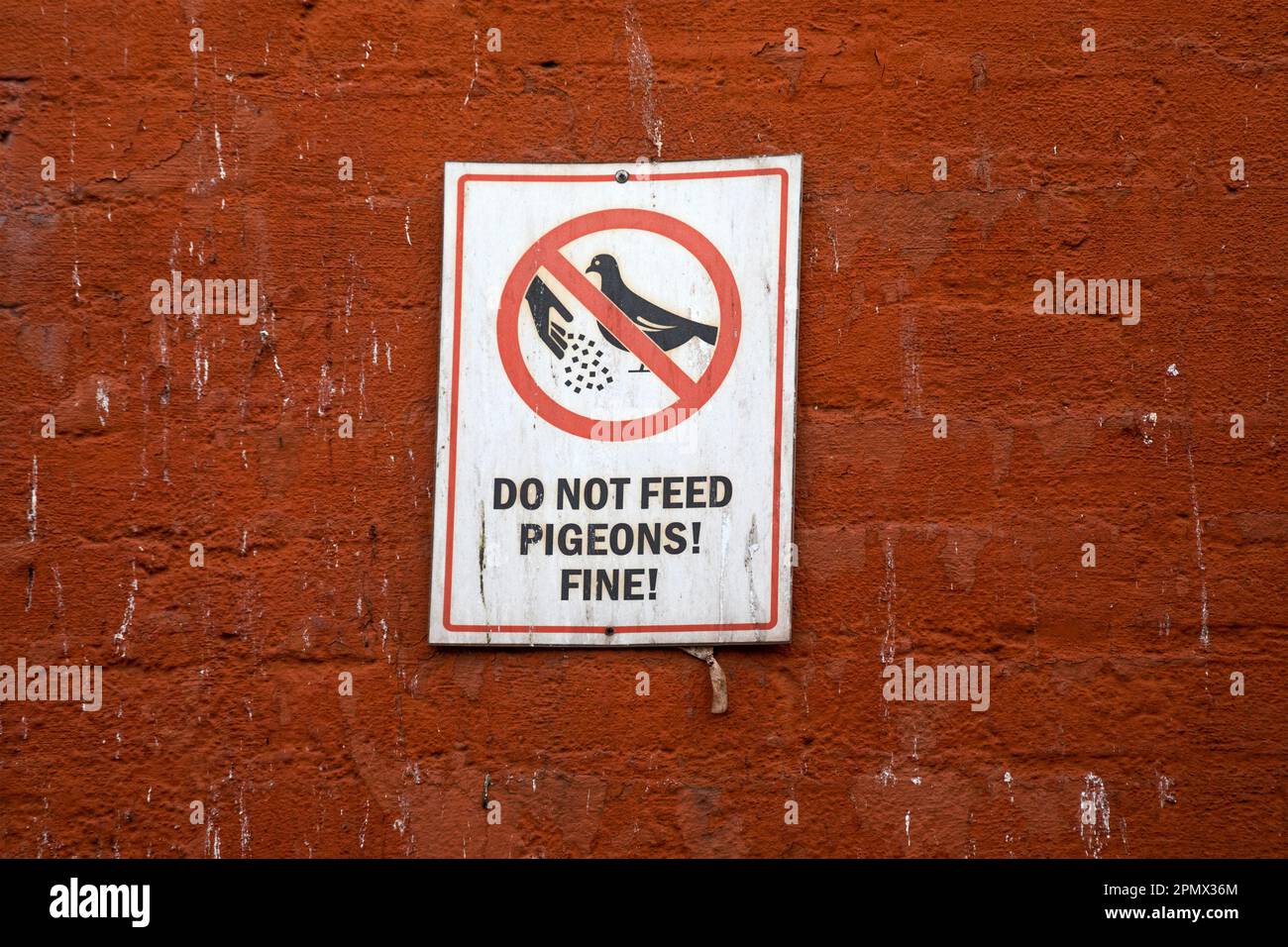 Proibire di alimentare piccioni segno è visto su una piazza in una città Foto Stock