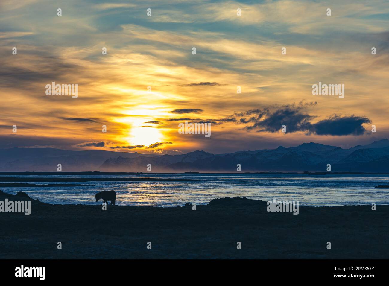 Stokksnes rappresenta un luogo perfetto per fotografi e amanti della natura Foto Stock