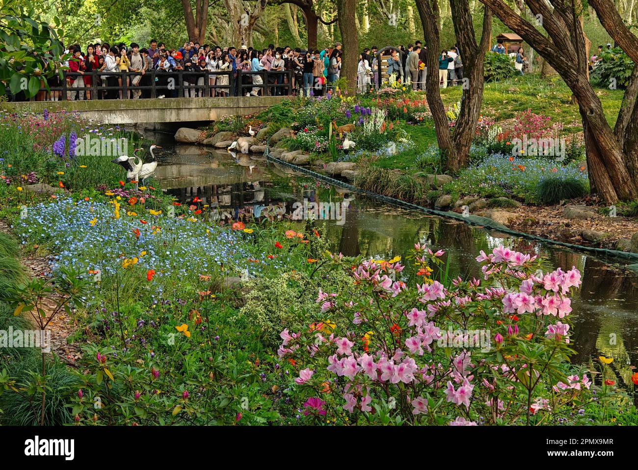 SHANGHAI, CINA - 15 APRILE 2023 - i visitatori godono il giardino Claude Monet al Gongqing Forest Park a Shanghai, Cina, 15 aprile 2023. Su entrambi i lati di Foto Stock