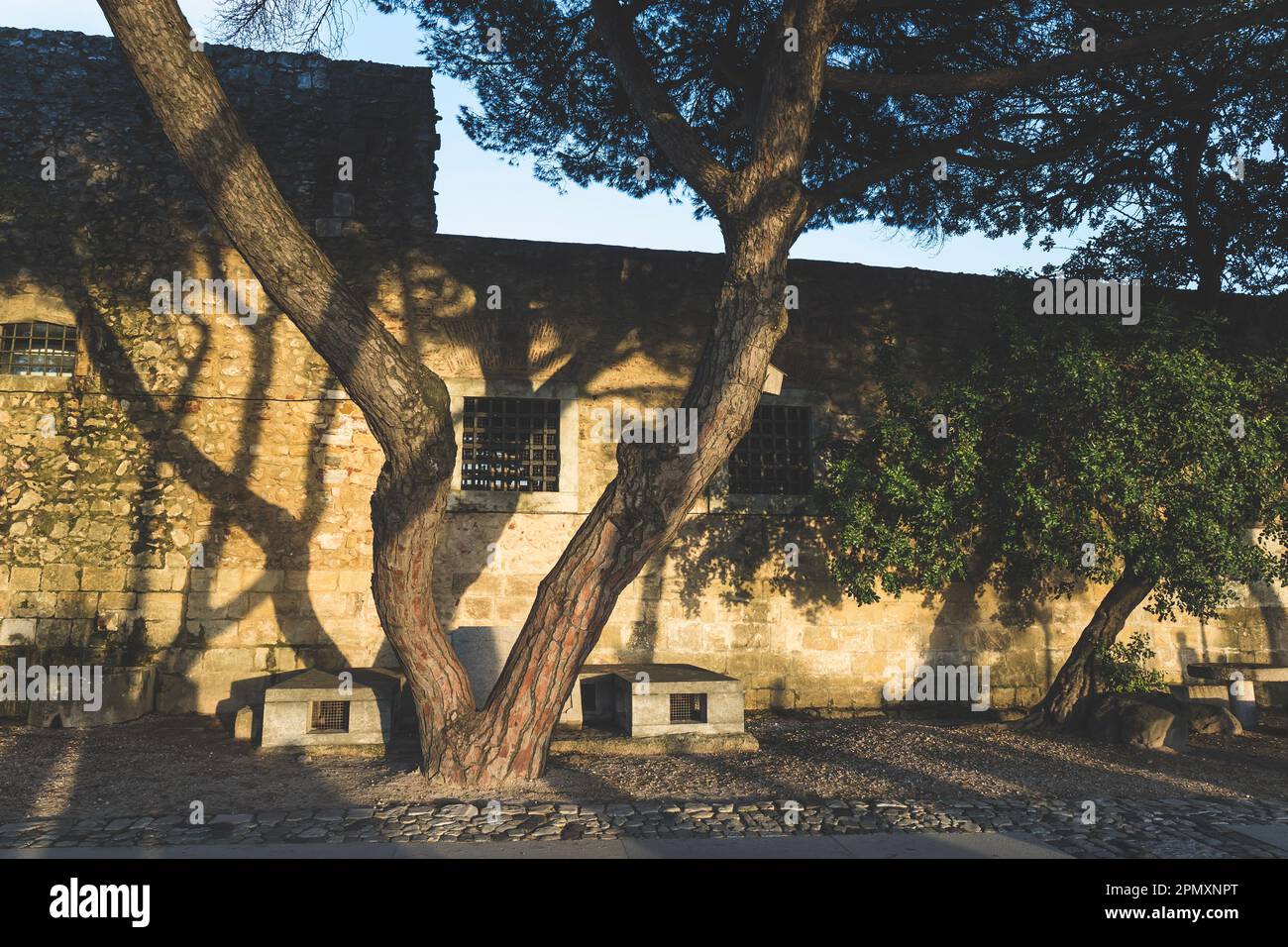 Ombre di alberi e persone su un muro di mattoni di un vecchio edificio muro di mattoni Foto Stock