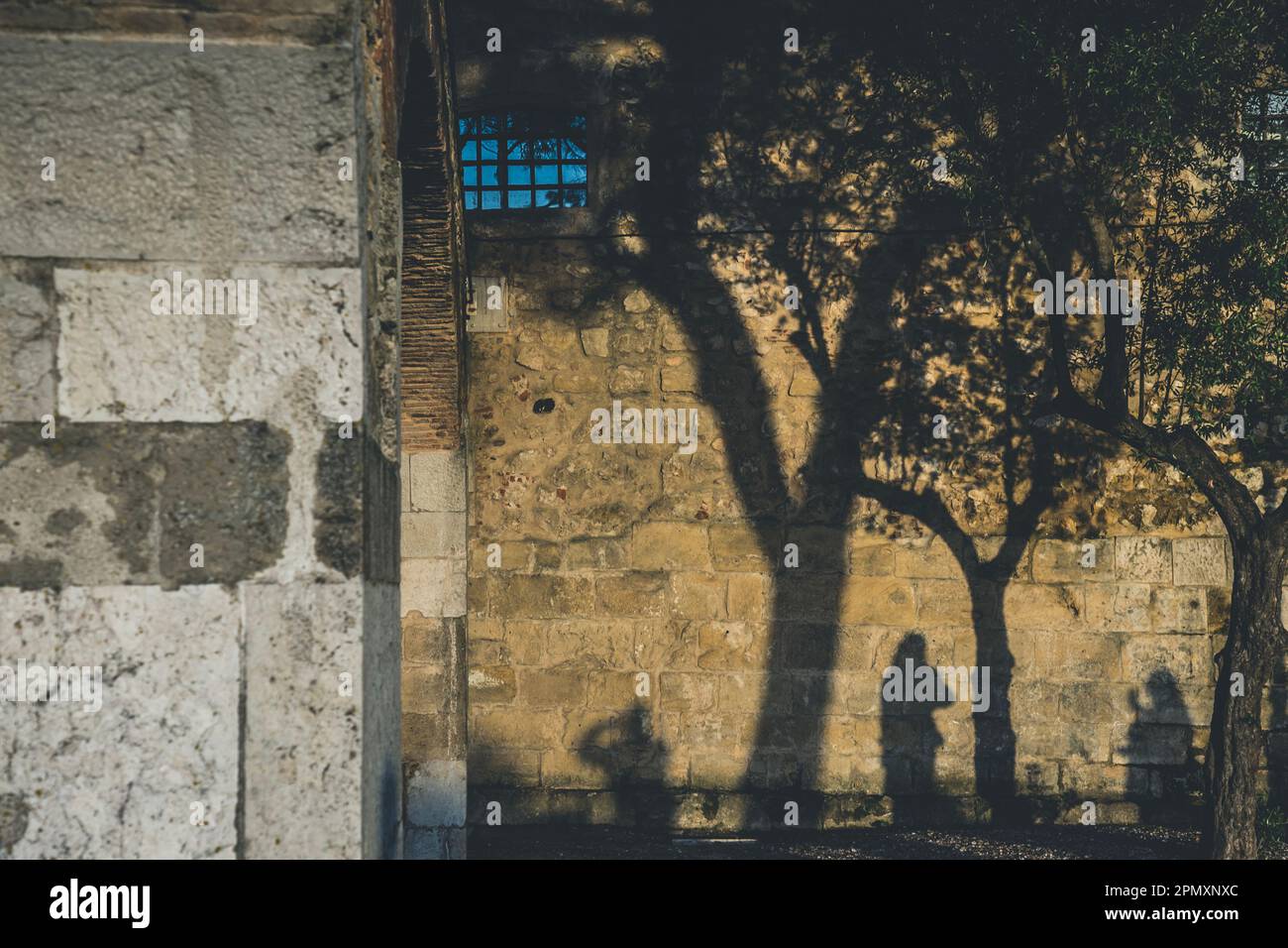 Ombre di alberi e persone su un muro di mattoni di un vecchio edificio muro di mattoni Foto Stock