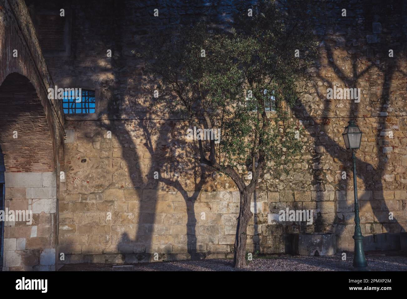 Ombre di alberi e persone su un muro di mattoni di un vecchio edificio muro di mattoni Foto Stock