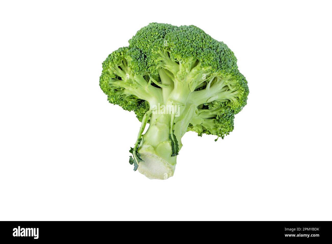 Testa di broccoli isolata su bianco. Brassica oleracea var. verdure italica. Cavolo calabrese Foto Stock