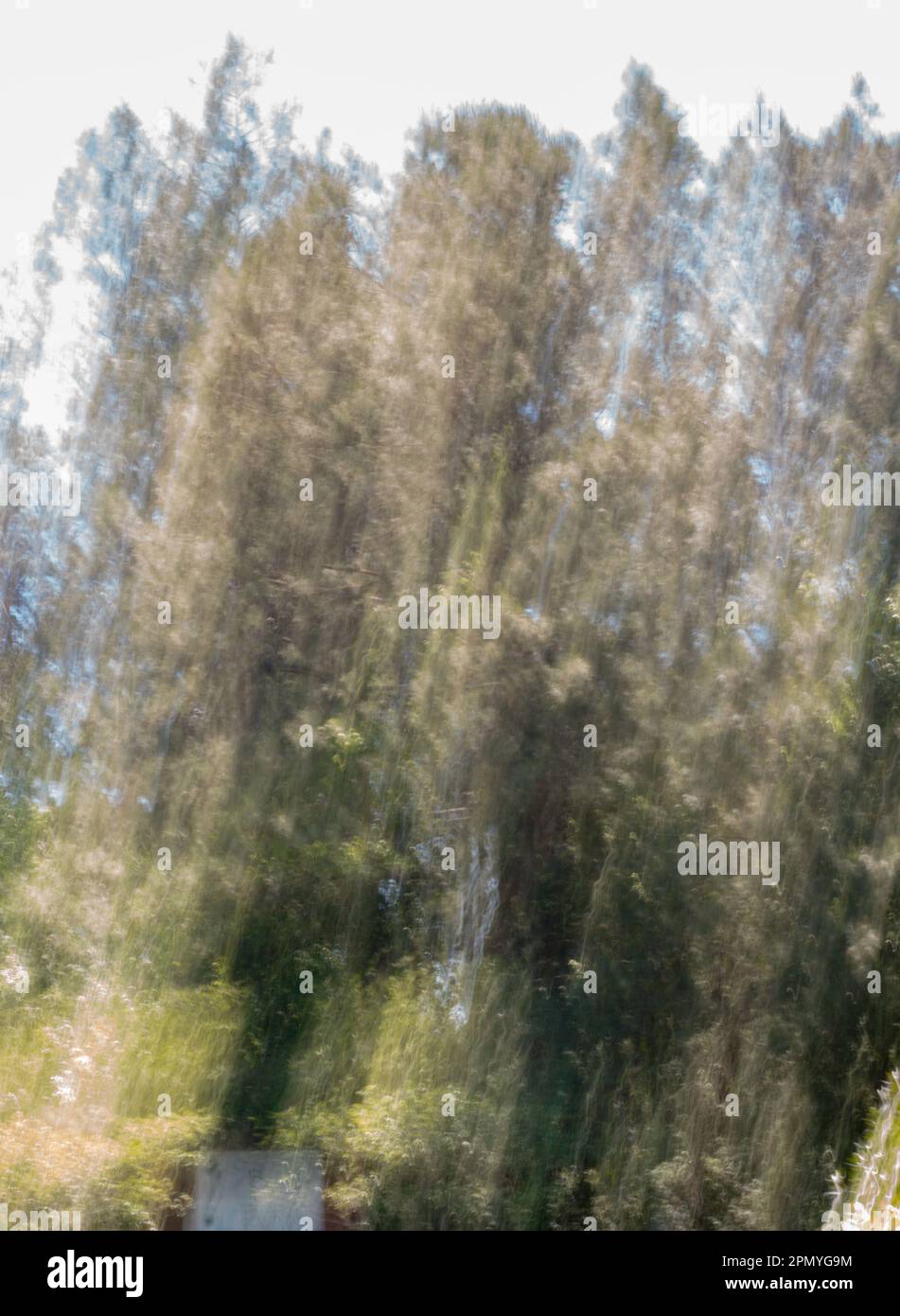 CM Fotografia, movimento intenzionale fotocamera Fotografia, sfocando l'immagine in una fotografia come Monet ha fatto nei suoi dipinti!!. Sfondi e salvaschermo Foto Stock