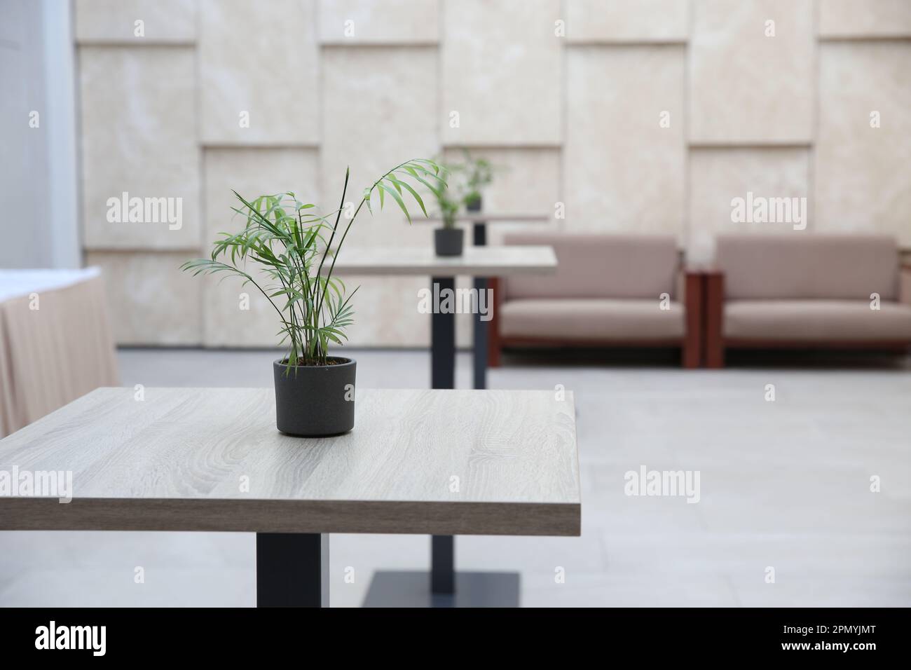 Vuoto moderno hotel salotto di benvenuto con alti tavoli, divani e piante interne. In colori beige. Foto Stock