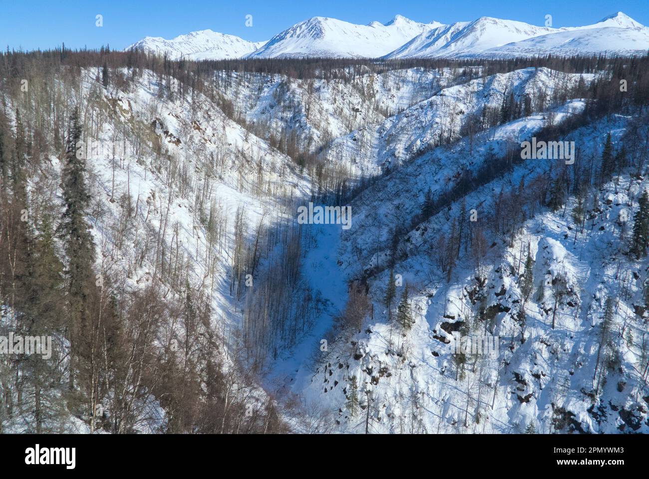 Gola coperta di neve e alberi senza frondoli. Foto Stock