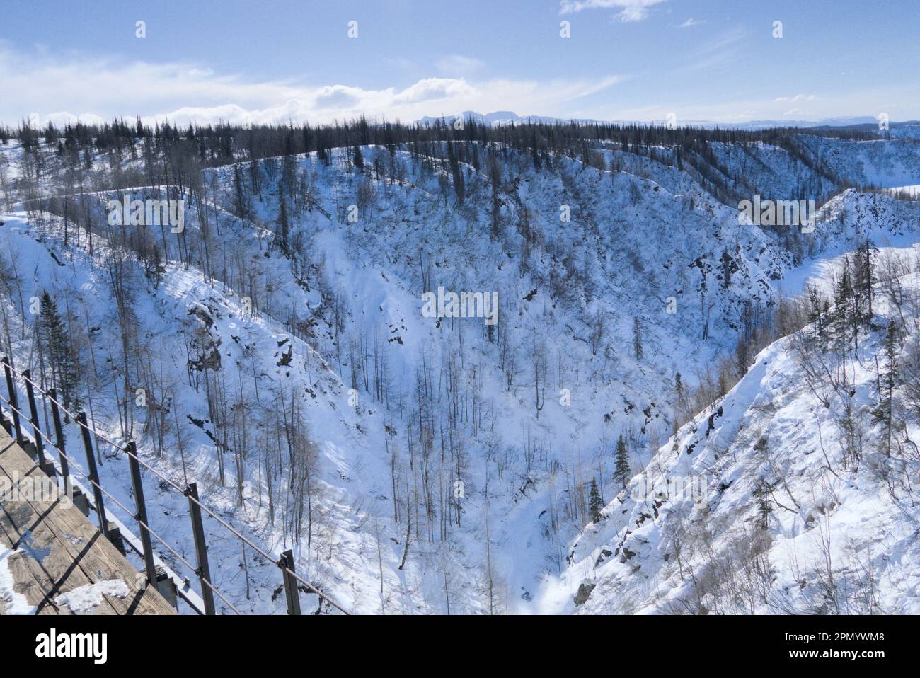 Gola coperta di neve e alberi senza frondoli. Foto Stock