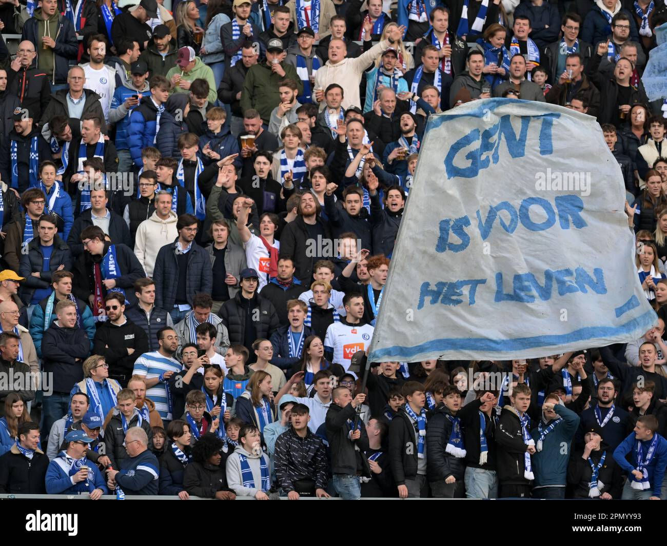 GENT - i sostenitori di KAA Gent durante la partita di Quarterfinale della UEFA Conference League tra KAA Gent e West Ham United alla Ghelamco Arena il 13 aprile 2023 a Gent, Belgio. AP | Dutch Height | GERRIT OF COLOGNE Credit: ANP/Alamy Live News Foto Stock