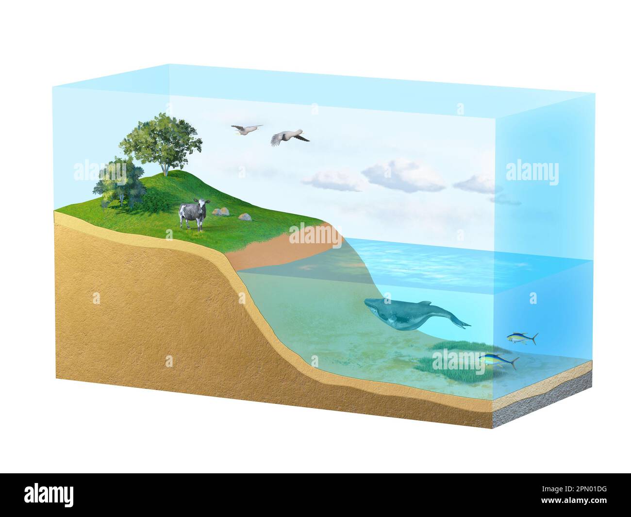 Diagramma dettagliato della biosfera terrestre. Illustrazione digitale, rendering 3D. Foto Stock