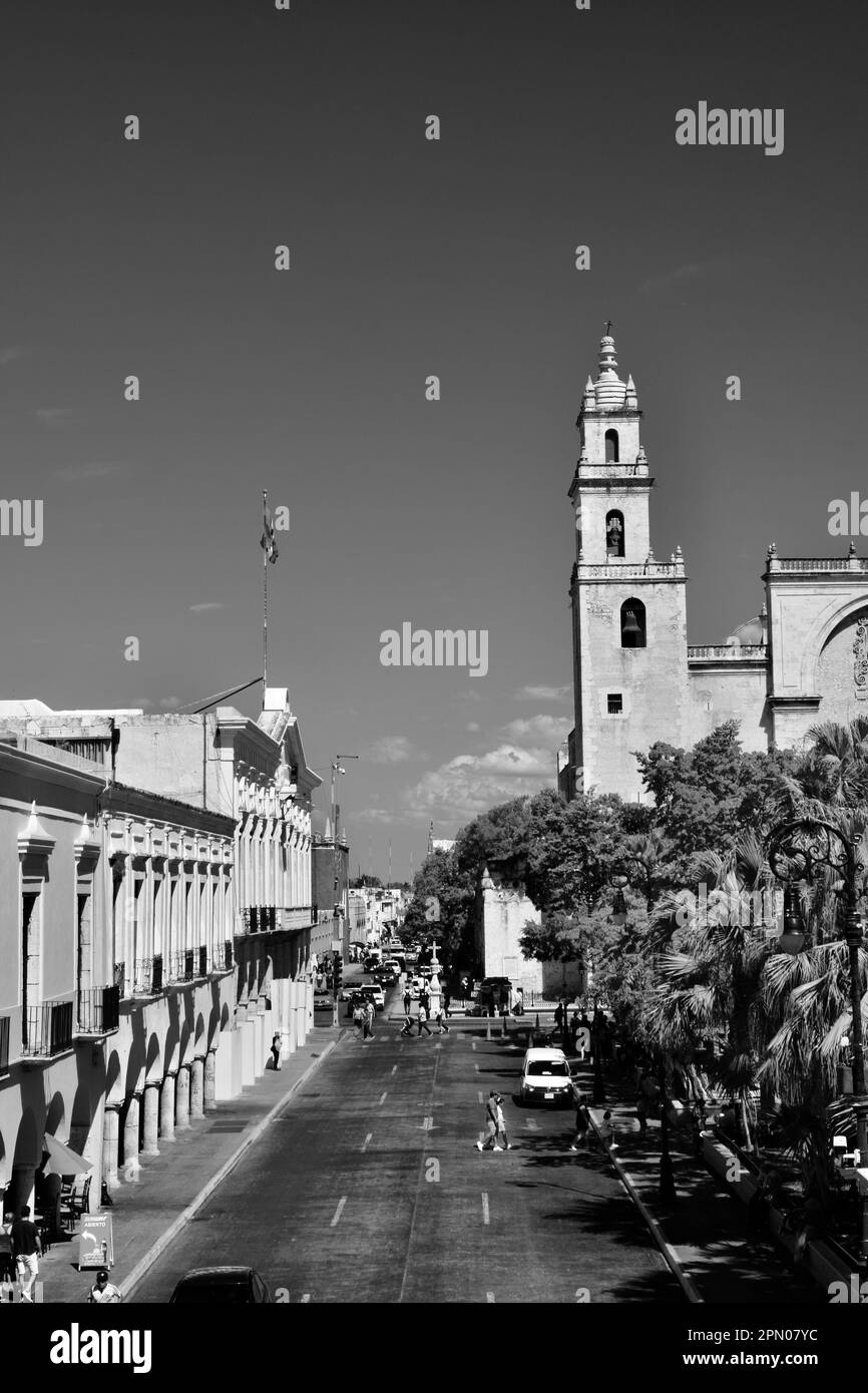 Uno scatto verticale in bianco e nero di parte della cattedrale di San Ildefonso, 61st strada, e il Palazzo di Stato. Merida, Yucatan, Messico. Foto Stock