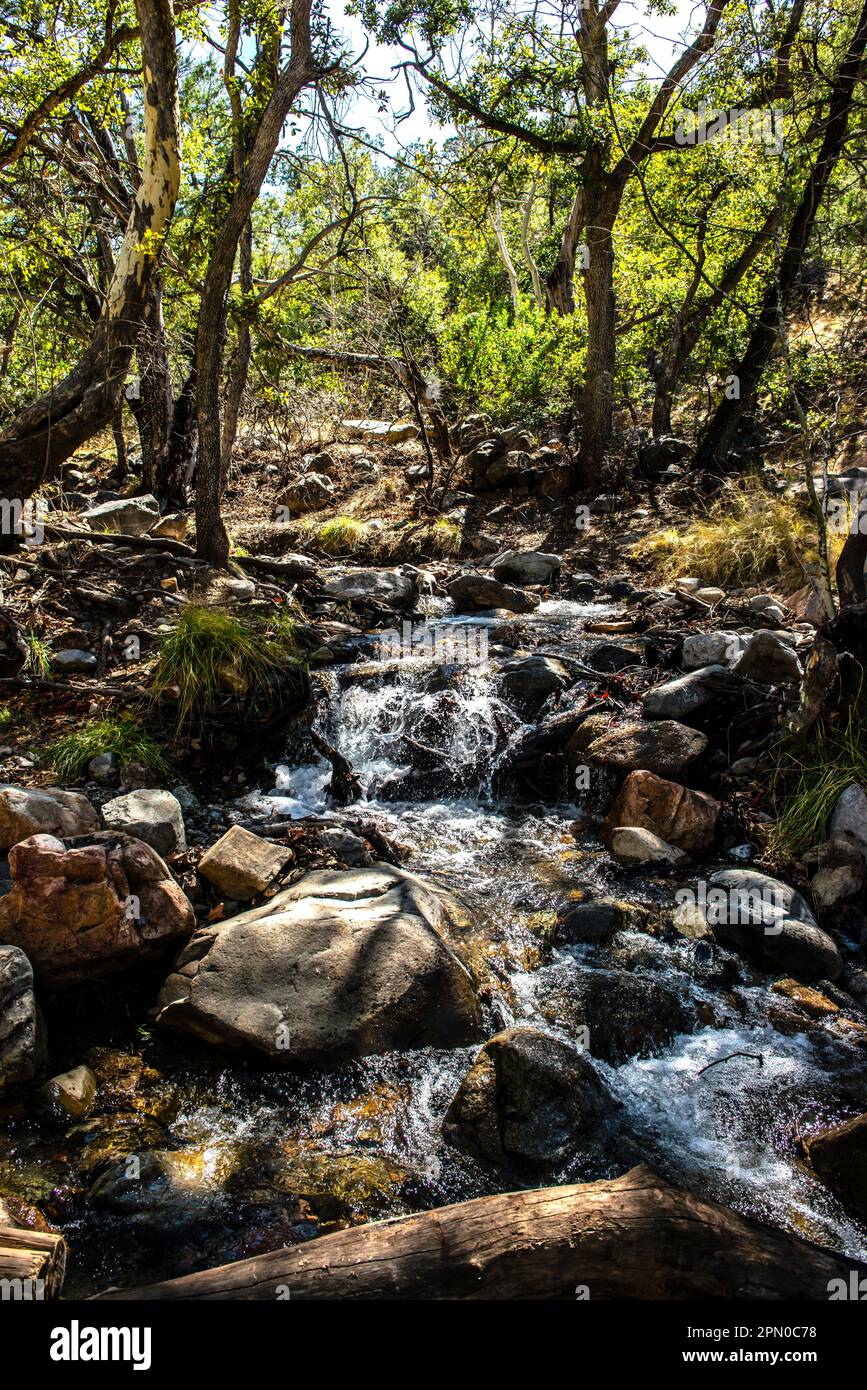 Cascate in Arizona Foto Stock