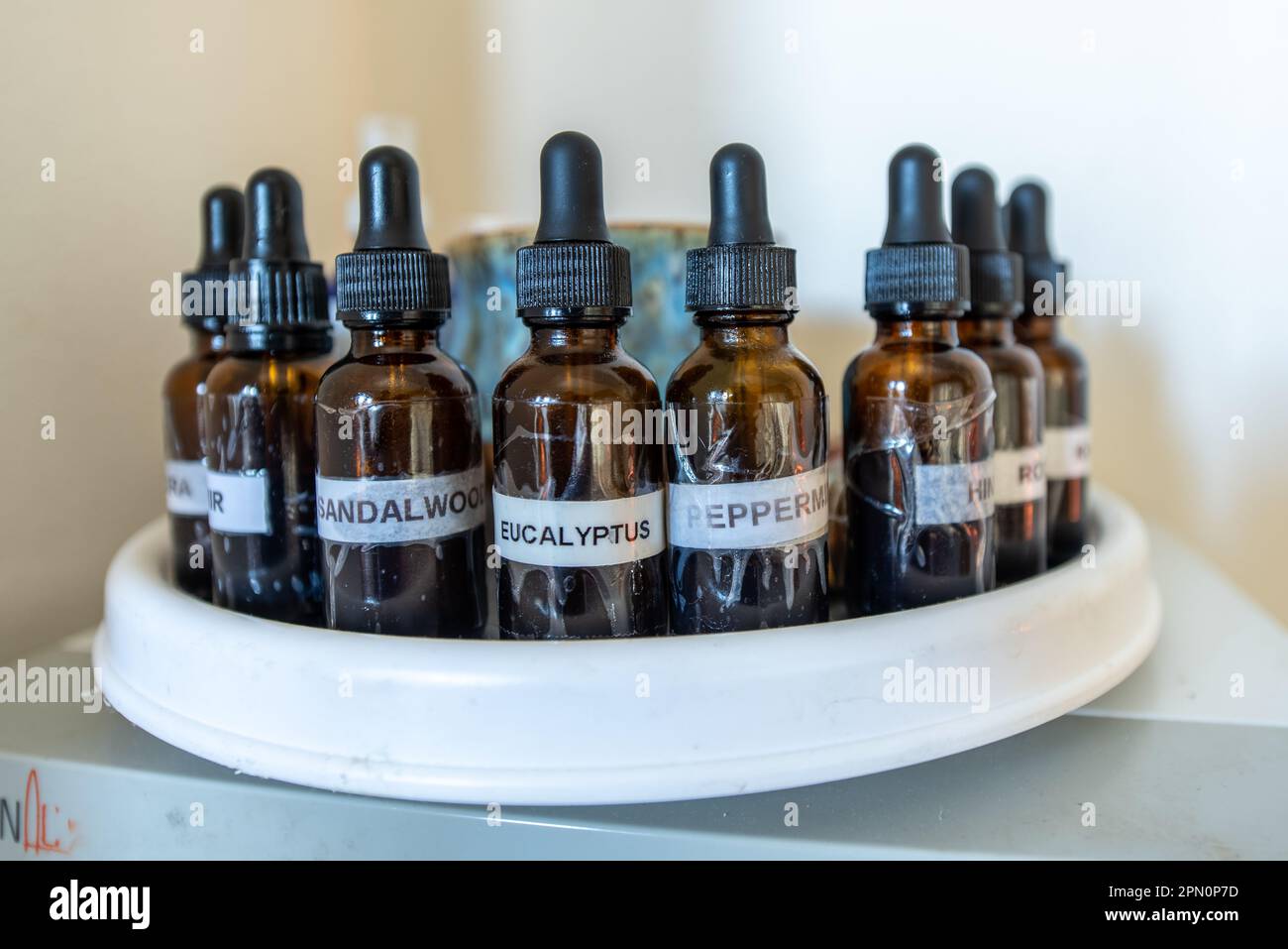 Gli oli essenziali per il trattamento ayuverdico sono ordinati per nome in bottiglie contagocce etichettate. Foto Stock