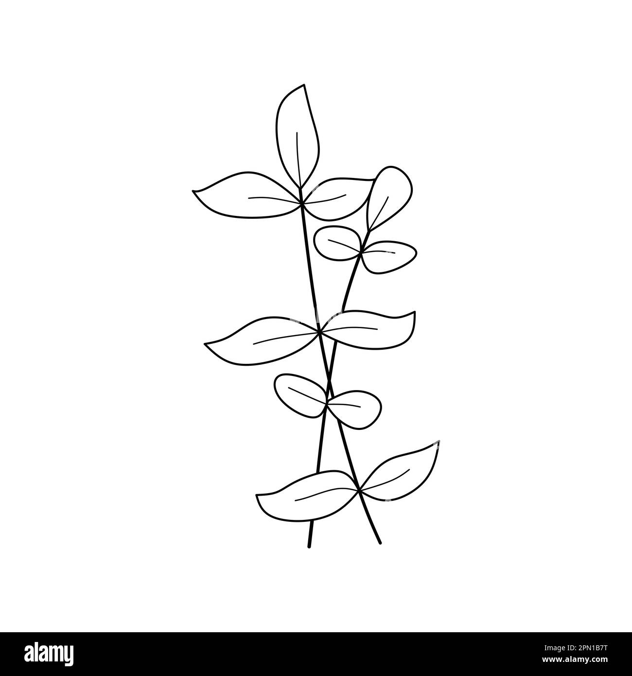 Cute fiore botanico vettore illustrazione contorno disegno a mano stile disegno Illustrazione Vettoriale