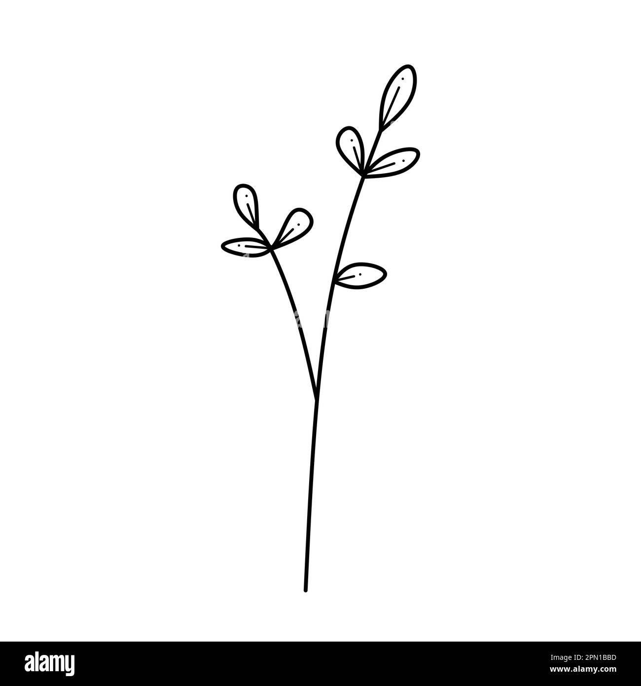 Decorativo bellissimo giardino botanico inglese. Schizzo minimalista disegnato a mano. Illustrazione del vettore Illustrazione Vettoriale