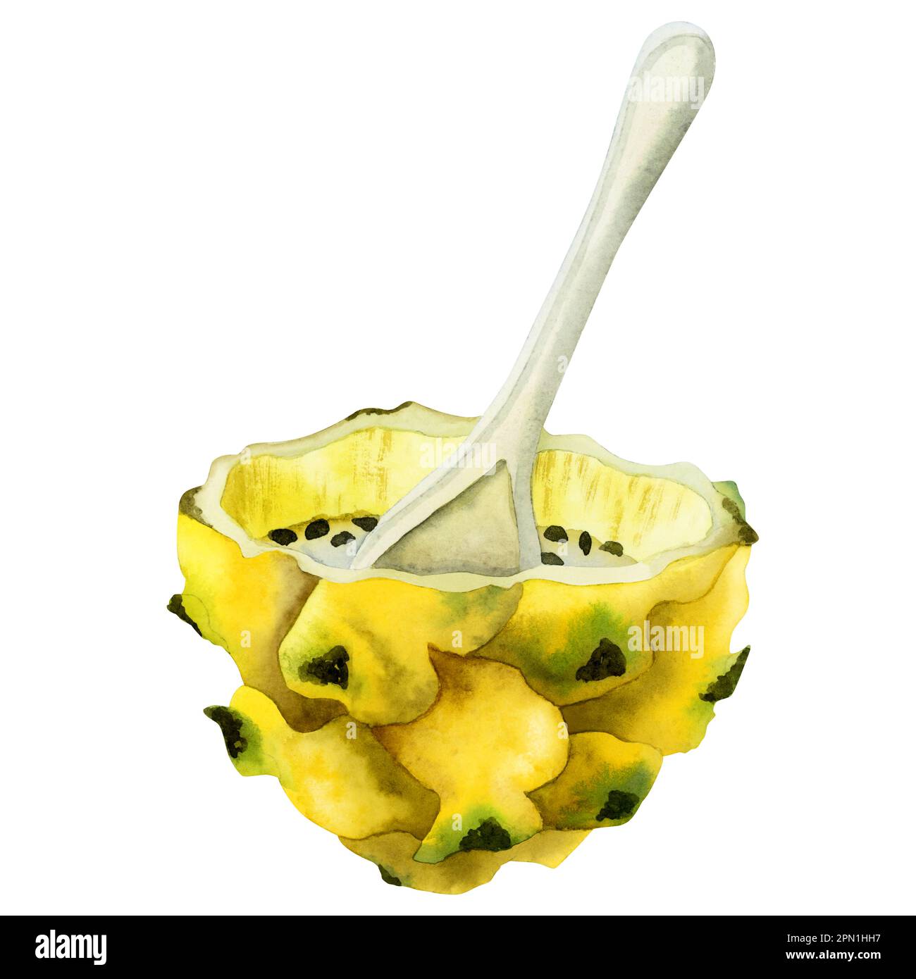 Semiddessert di frutta gialla con acquerello a cucchiaio. Tropicale asiatico pitaya con semi clipart isolato su sfondo bianco. Realistico Foto Stock