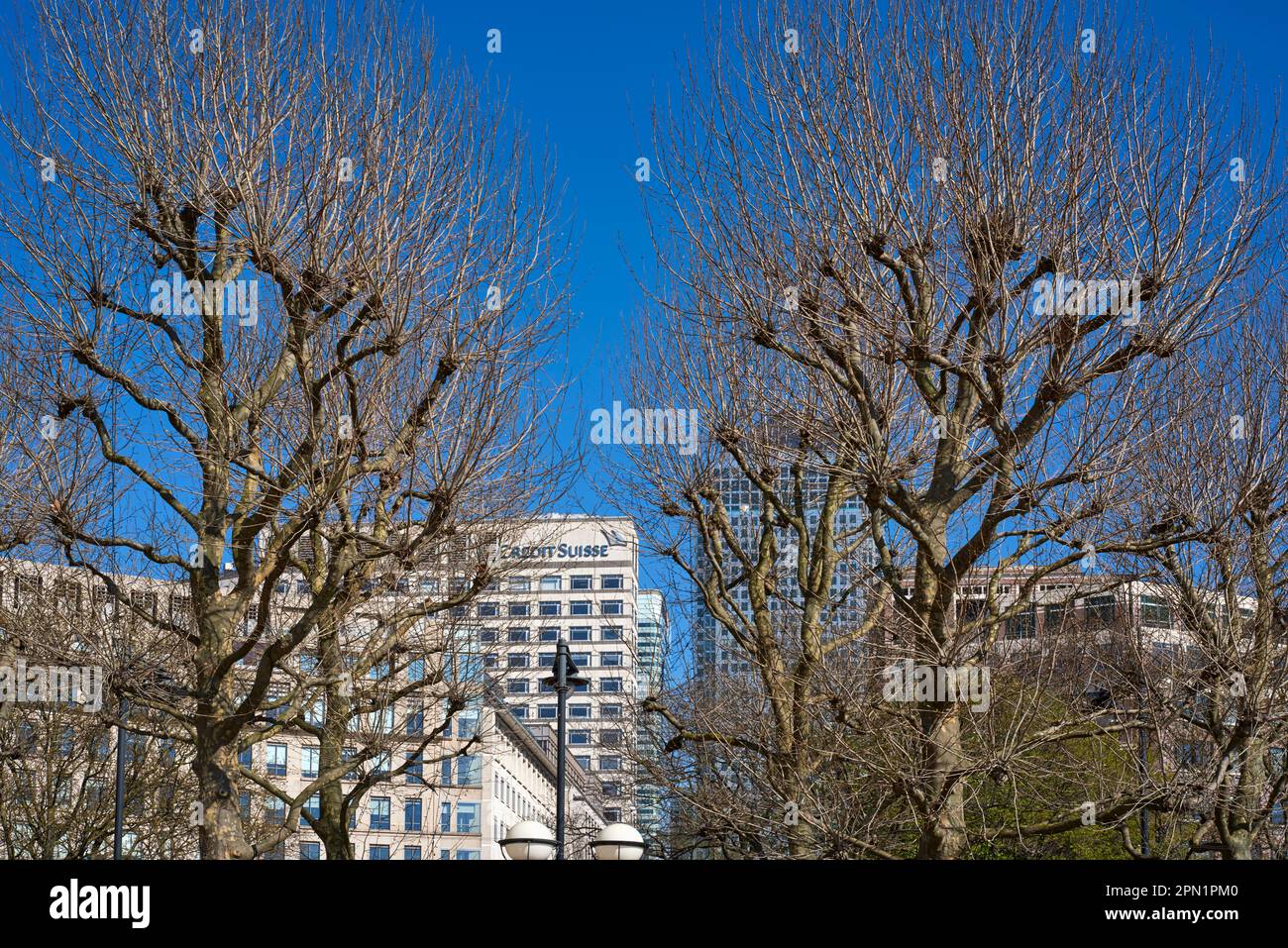 L'edificio del Credit Suisse attraverso gli alberi a Canary Wharf sull'Isola di Dogs, East London UK Foto Stock