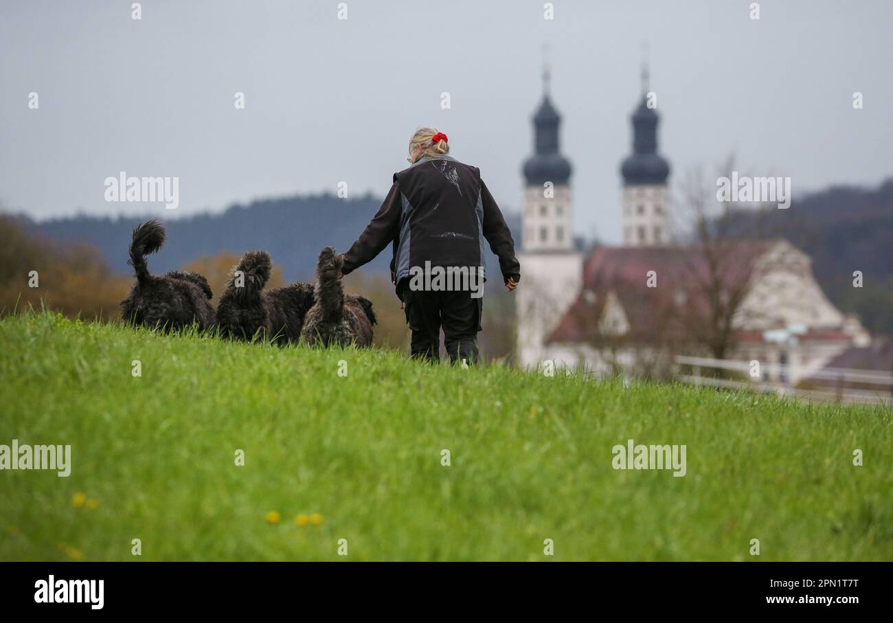 Rechtenstein, Germania. 16th Apr, 2023. Una donna cammina con i suoi tre cani su un prato. Sullo sfondo si possono vedere le torri della chiesa del Minster di San Peter e Paul di Obermarchtal Credit: Thomas Warnack/dpa/Alamy Live News Foto Stock