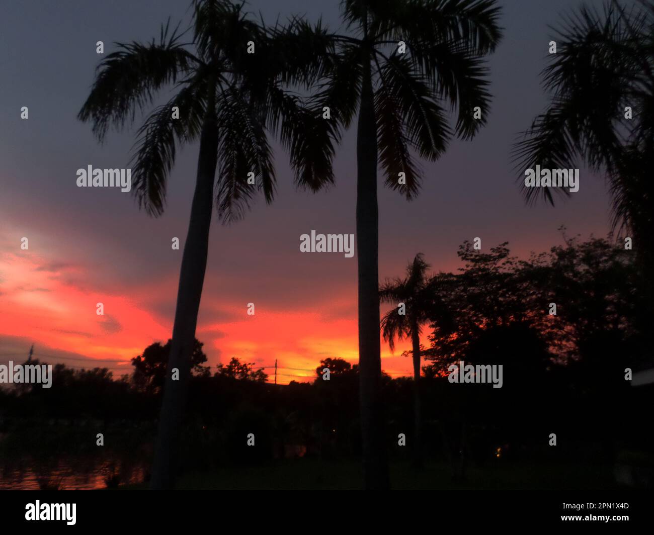 Luce del sole del mattino nel cortile Foto Stock