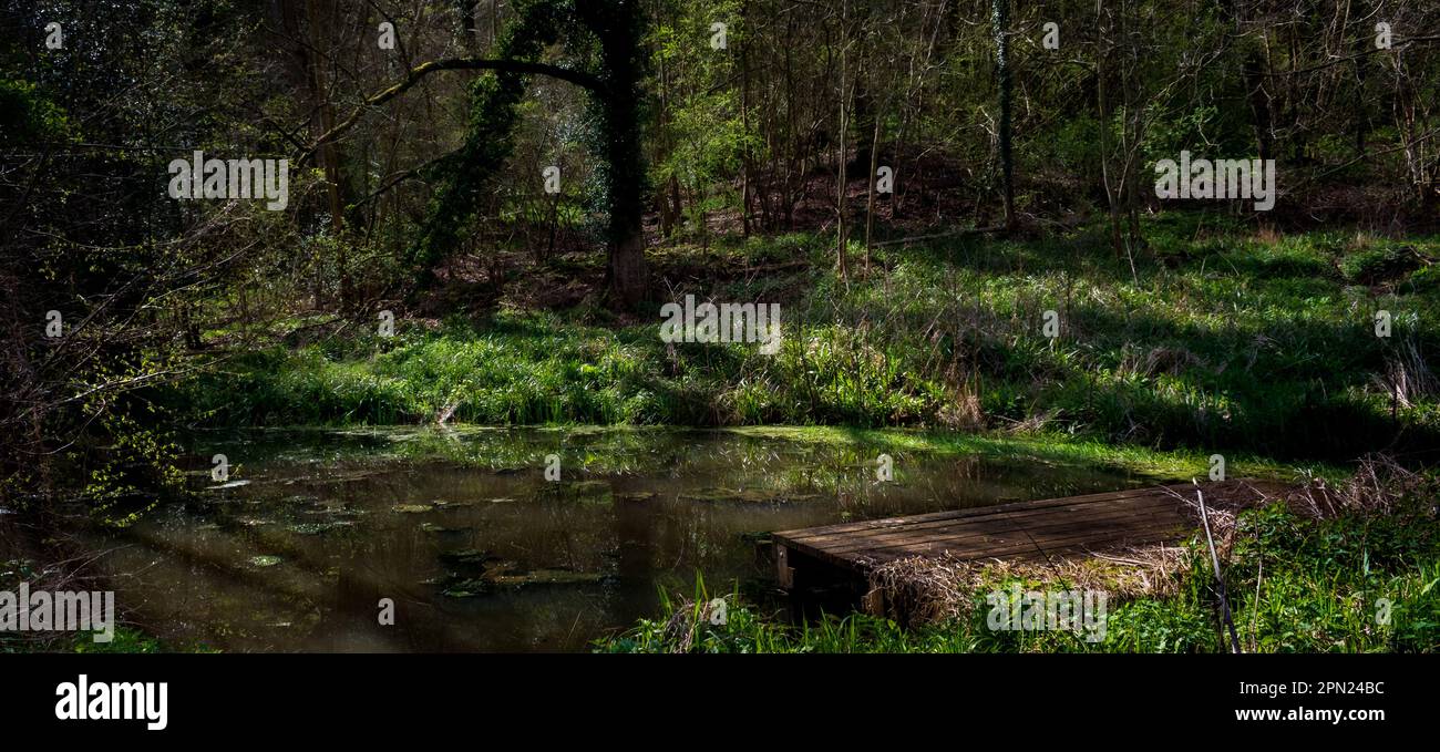 The Knapp and Papermill, Leigh Brook, Worcestershire, Regno Unito Foto Stock