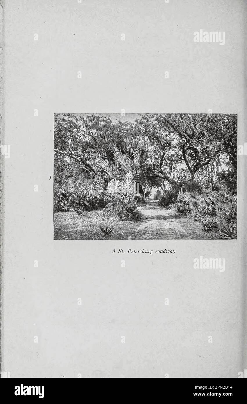 Un St. Strada di Petersburg dal libro ' autostrade e byways della Florida; informazioni di interesse umano per i viaggiatori in Florida ' di Clifton Johnson, 1865-1940 Data di pubblicazione 1918 Editore New York, la società Macmillan; Foto Stock