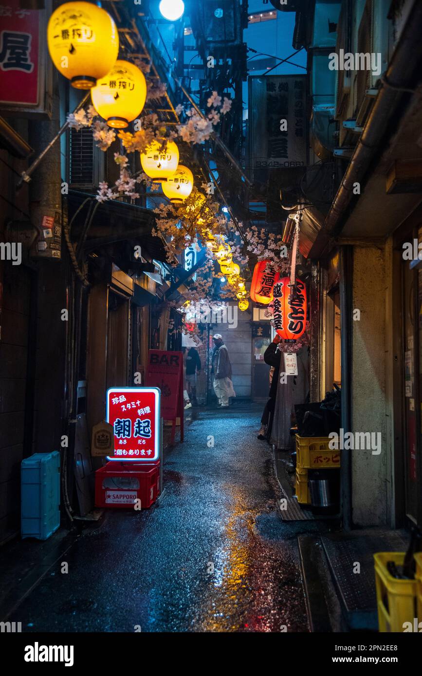 Una serata piovosa a Omoide Yokocho, Tokyo Foto Stock