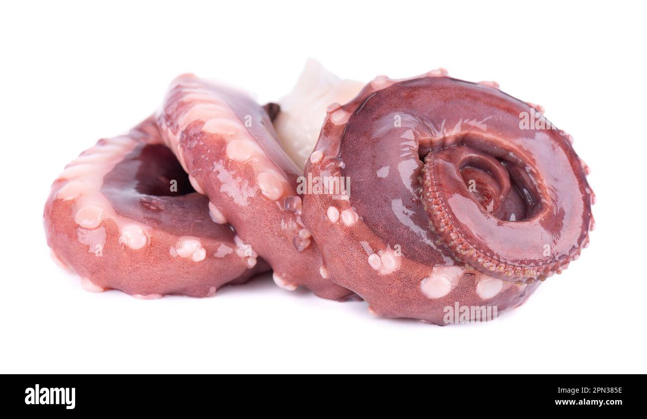 Tentacoli calamari isolati su sfondo bianco. Calamari giganti freschi e crudi Foto Stock