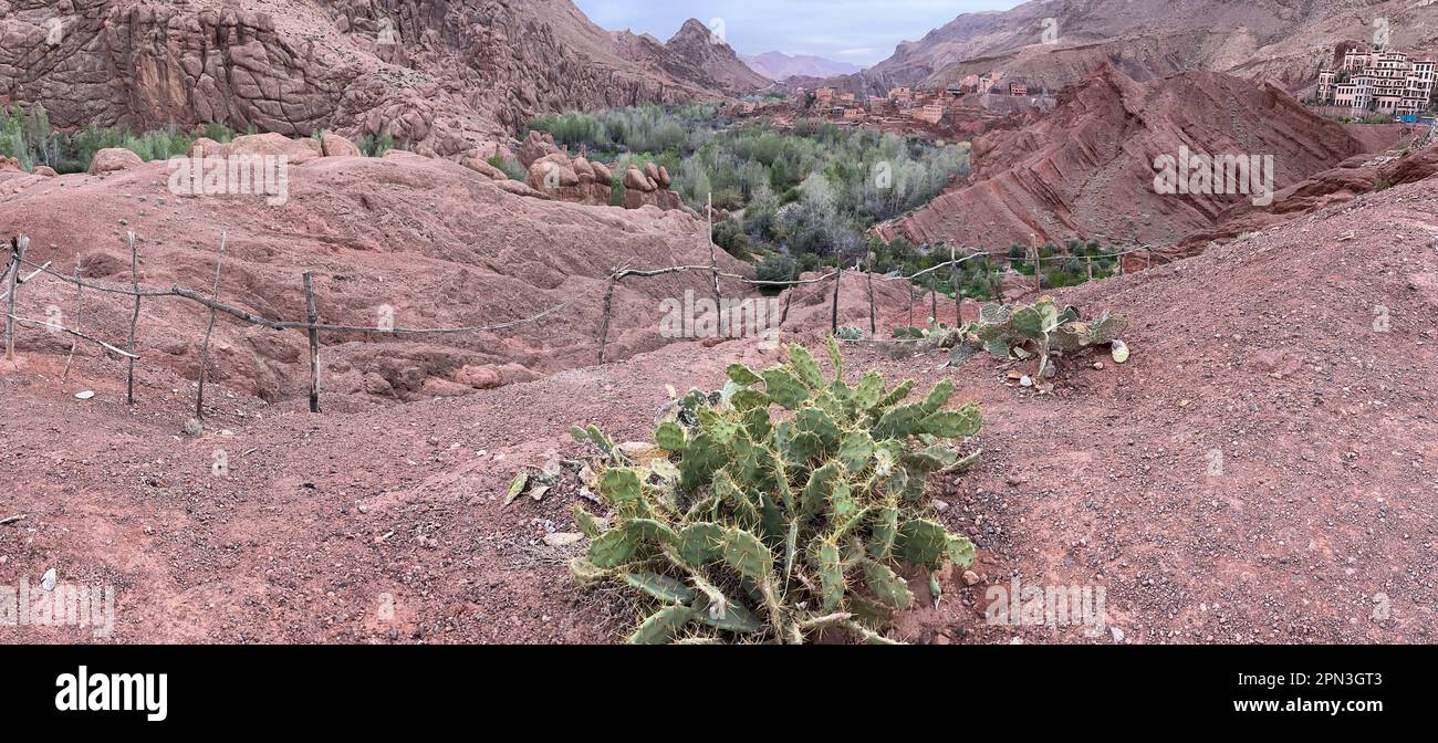 Marocco, Africa: Montagne rosse e piante grasse con uno dei meravigliosi villaggi di argilla nella verde valle di Dades vicino a Boumalne Dades e Dades Gorge Foto Stock