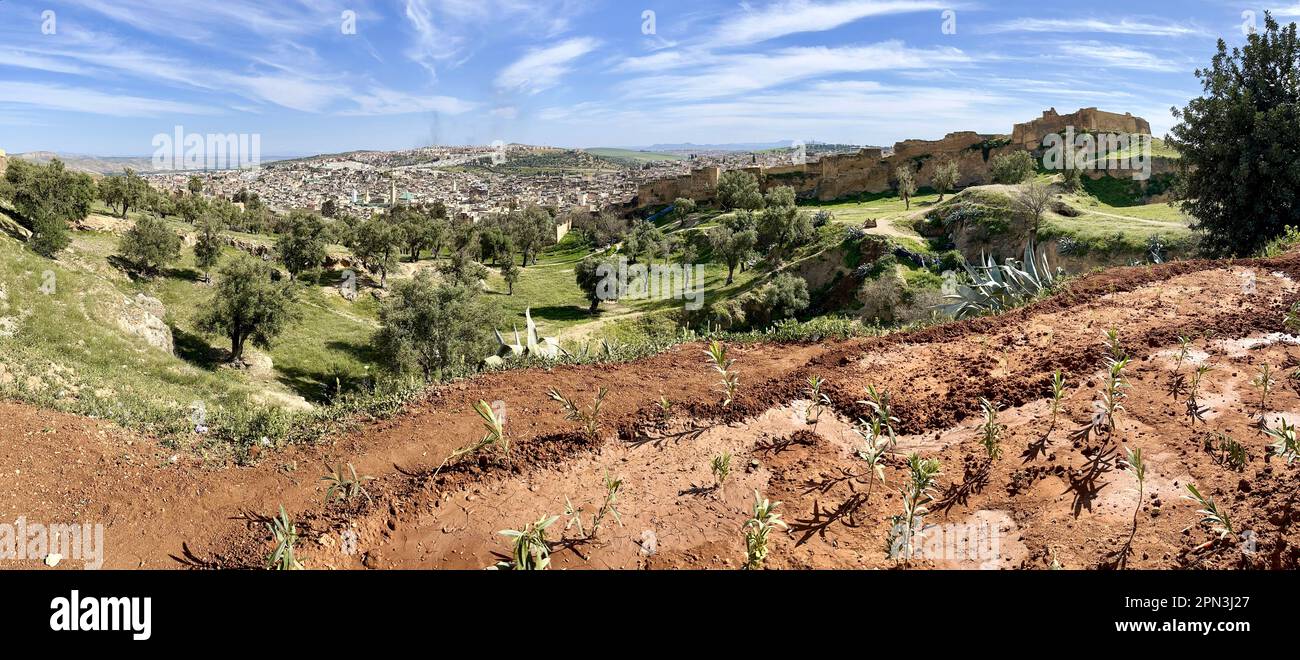 FES, Marocco: Splendido skyline panoramico della città con medina e Ville Nouvelle circondate da colline viste dalla fortificazione Borj Nord (Burj al-Shamal) Foto Stock