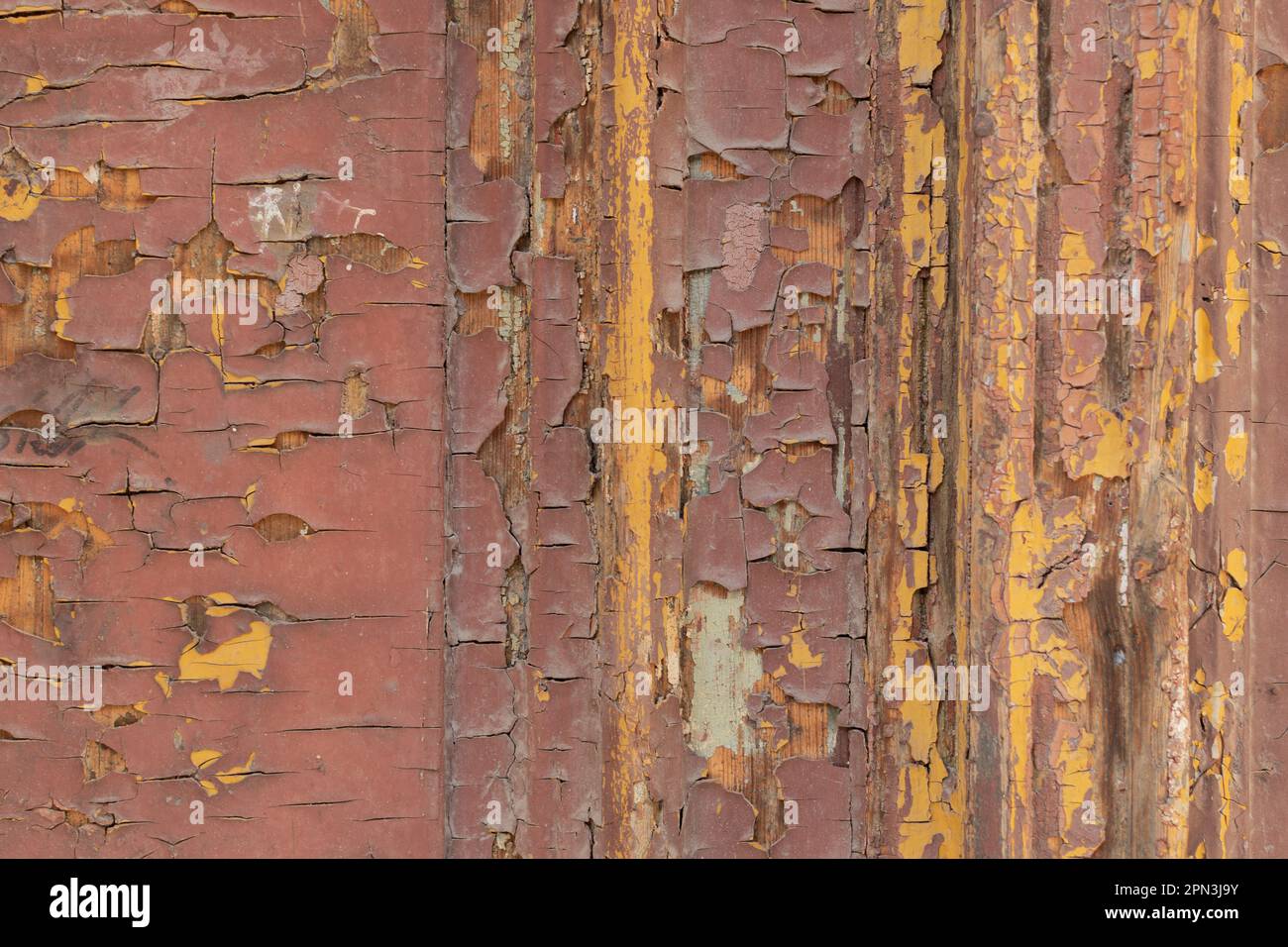 Particolare di una porta in legno marrone con distacco della vernice Foto Stock