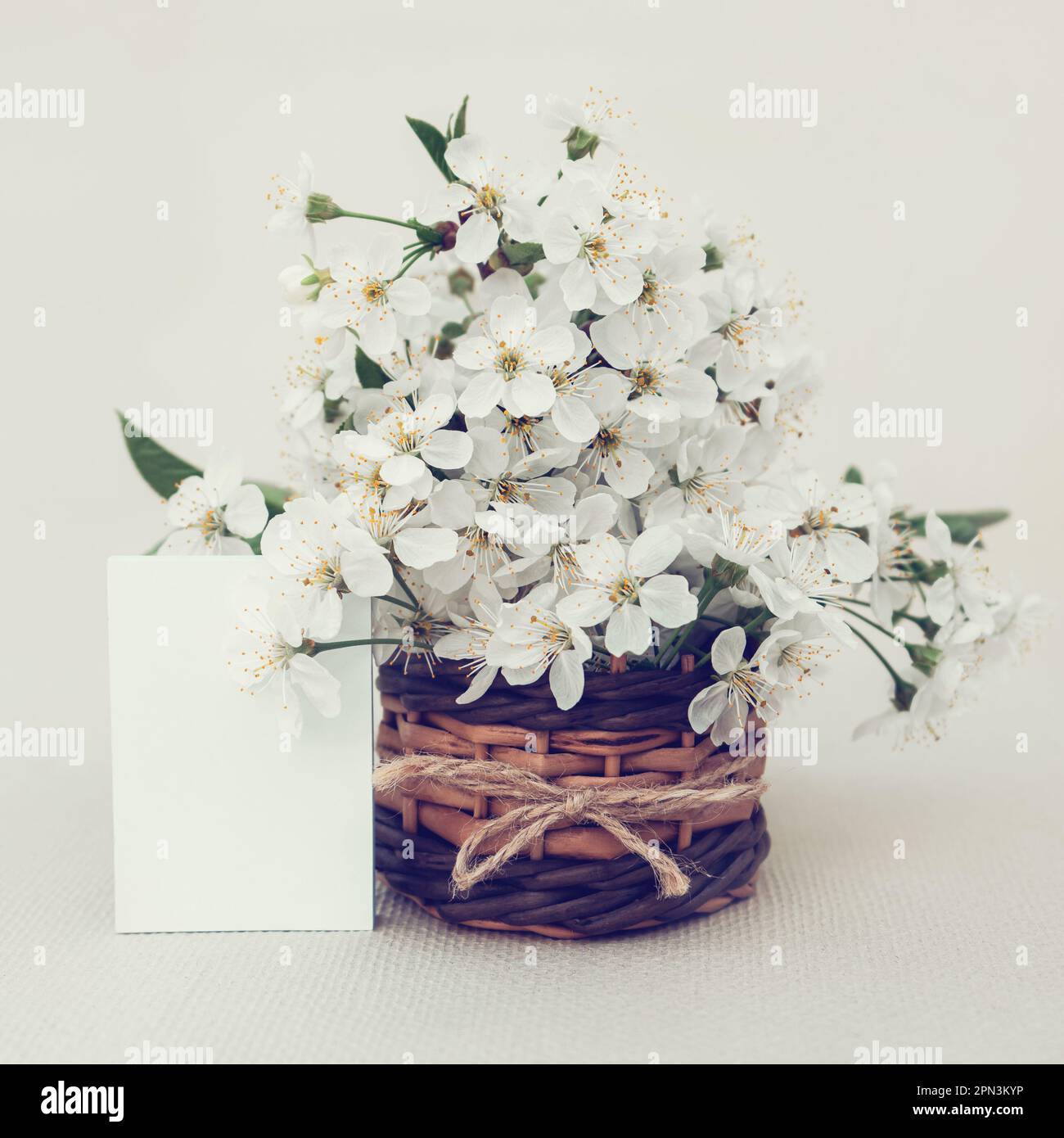 carta romantica con un bouquet di delicati fiori di ciliegia primaverile in un primo piano del cesto Foto Stock