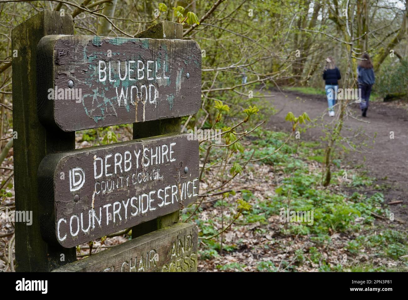 Cartello all'ingresso di Bluebell Wood sul Sett Valley Trail vicino a Hayfield, Derbyshire Foto Stock